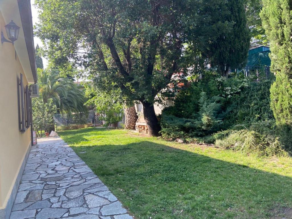 Villa Antonella Castellina Marittima Exterior photo
